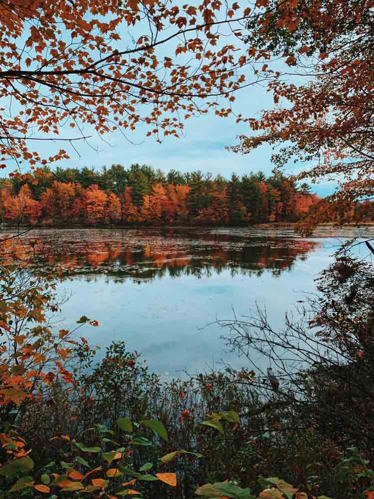 Lake in new england with forest of red and orange trees in background